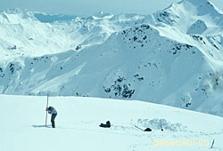Beier examines a highelevation bear den on Admiralty Island Some of these dens are buried under 14 feet of snow in the winter