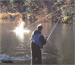 Sport fishing is an important recreational opportunity for Alaskans and visitors to Alaska Photo by R Johnson