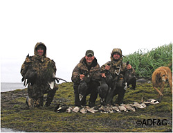 Some of Alaskas special areas are sanctuaries for wildlife while others like refuges provide outstanding hunting opportunities especially for waterfowl hunters