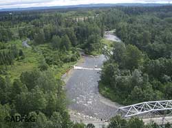 The Anchor River weir