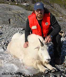 ADFampG researcher Jeff Jemison with an 8yearold billy captured as part of the Blue Lake project