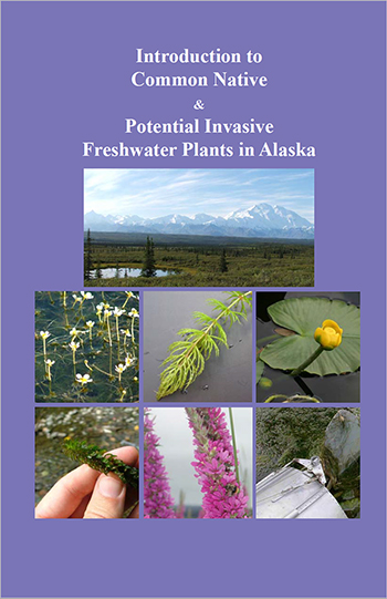 emFigure 2 Introduction to Common Native amp Potential Invasive Freshwater Plants in Alaska Morgan and Sytsma 2009 This guide is available by contacting ADFampG Invasive Species Prgem