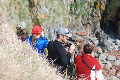 Walrus viewing at Round Island in the Walrus Islands State Game Sanctuary Photo by Marian Snively