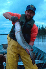 Author J Johnson sampling the fish population in an Interior river