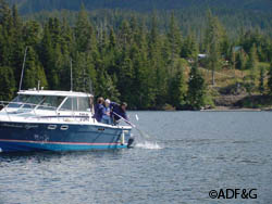 Skip and Louise Pattison landing a king salmon while fishing on the sport charter vessel Katrina Lynn near Ketchikan on a bright sunny day  Photo courtesy Mike Wood