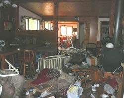 A variety of bear proofing techniques can prevent bears from accessing a remote cabin