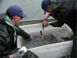 All research projects conducted by the divsion of Sport Fish start with a detailed operational plan