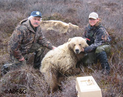 State wildlife biologists and bear researchers Bob Tobey and Becky Schwanke Researchers are refining the techniques used to study bears implementing innovative survey methods and state of the art tracking and monitoring tools