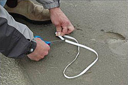 Loops of line or material like this packing band can kill marine animals quotLose the loopquot is part of a campaign encouraging people to cut loops that can entangle animals