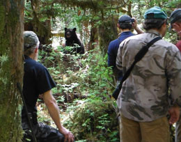 Boyd Porter left watches a black bear moments after darting it The drugs take a few minutes to take affect and then the small crew of biologists can take blood and other tissue samples and equip the animal with a GPS collar