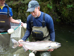 Kodiak Biologist Len Schwarz retired and Student Intern Aaron Nymeyer examining a female king salmon captured for brood stock from Monashka Creek by seine net in July 2007 Photo ADFampG