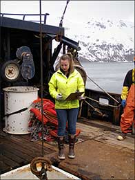 ADFG observer program biologist Nyssa Baechler conducting average weight samples during an offload to a processing plant in Dutch Harbor  Photo ADFampG Crab Observer Program