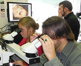 Age readers April Rebert Rob Dinneford and Kevin McNeel at the Age Determination Unit in Juneau