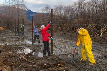 Volunteers raising the fence poles
