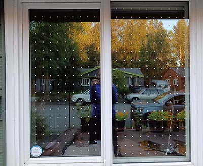 Windows that reflect the sky and trees can be dangerous for birds A pattern of spots on the glass can help  especially when placed close like these