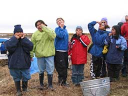 Selawik kids eat eggs