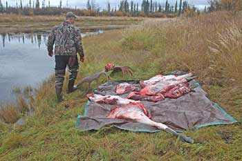 Wellcared for meat on the Kateel River
