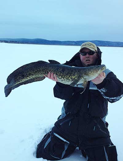 The author with a icecaught burbot