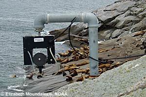 A robotic remotecontrolled camera watches sea lions on Chiswell Island part of the Alaska Maritime National Wildlife Refuge Images are broadcast to the Alaska Sea Life Center and researchers and visitors alike can view the animals