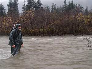 Leon in the swollen Berners River  Photo by Scott Forbes