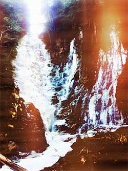 A waterfall barrier on Carlanna Creek near Ketchikan Alaska Photo by Tess Quinn