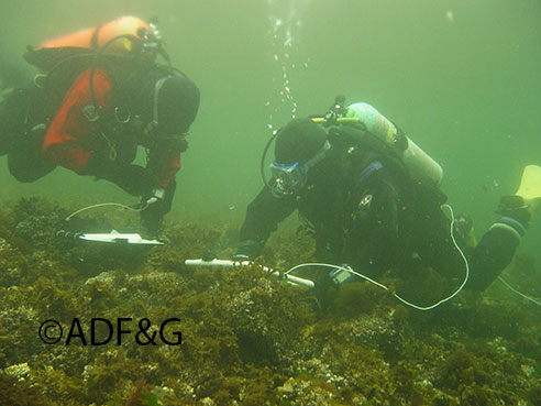 Shellfish diving begins in June and ends in September and has much warmer air and water temperatures than herring dives