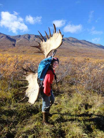 Caleb Mikkelsen 12 hauls out the antlers from his first moose taken Sept 2013