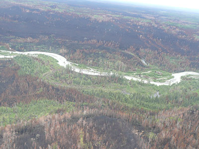 An aerial photo of the burn area in the central Kenai in the summer of 2014 showing the mix of burned and unburned land Photo by Sue Rodman