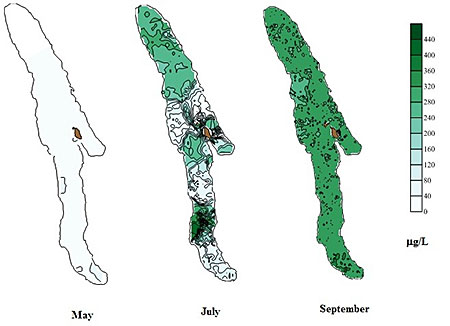 Subsurface chlorophyll concentrations in Karluk Lake from May to August 2012