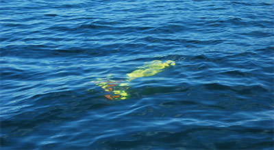 The AUV cruising at a 1meter depth