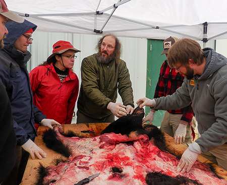 Jeff teaching a bear skinning class through the ADFampG Alaskans Afield program