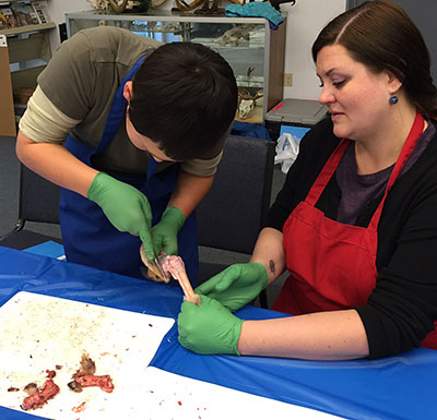 Students in the Alaskans Afield quotfield to freezerquot class learn about butchering a deer and processing venison