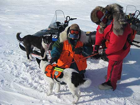 Craig Perham left and Dick Shideler right prepare Karelian Bear Dog ldquoRileyrdquo for a polar bear den survey while ldquoKavikrdquo waits for his turn  Each vest pocket contains a GPS unit  Photo credit C Putnam USFWS