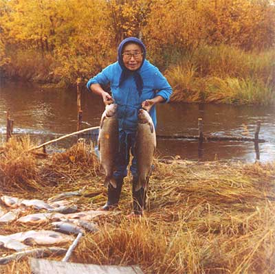 Emma Alexie displays two large broad whitefish harvested from Hungry Creek September 1982 More harvested broad whitefish can be seen in the grass below A fence used to lead whitefish into the trap can be seen rising out of the water behind Emma Photo by Priscilla N Russell