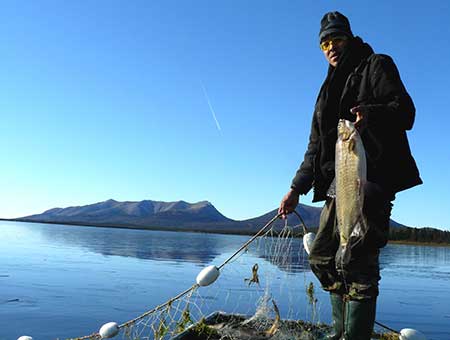 Lime Village resident Chris Gusty displays a broad whitefish harvested by set gillnet on Trout Lake at Hekrsquodichen Qrsquoestsiq ldquoabundance outletrdquo October 2013 Lime Hills are seen in the background Photo by James M Van Lanen ADFampG