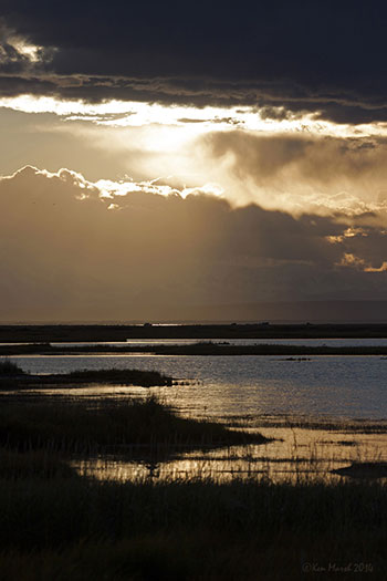 ldquoFowlrdquo weather A squall settles over the Susitna Flats at sunset