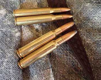 130 grain bullets for a 270 and 200 grain bullets for 338