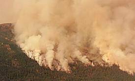 A recent fire that occurred in Unit 13  same type of habitat that the Taylor Highway Complex fire is in