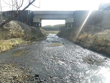 Sunshine Creek is a tributary to the Susitna River and only crosses one thoroughfare the Alaska Railroad It supports coho Chinook and sockeye salmon The existing culvert was very undersized relative to the creek and installed at a steep angle creating high velocities that were difficult for fish to pass It had washed out in the past The narrow opening of the culvert also created an easy place for bears to catch adult salmon moving upstream to spawn In 2012 the culvert was removed and replaced by a bridge and the downstream channel was restored to its natural width and depth ADFampG partnered with the Alaska Sustainable Salmon Fund and the Alaska Railroad to carry out this project