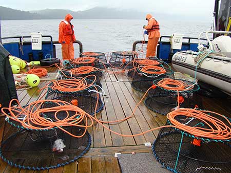 Crew of the ADFampG research vessel Medeia prepare to deploy shrimp pots off the back deck during the 2007 preseason survey in Cordova Bay Photo by Scott Walker