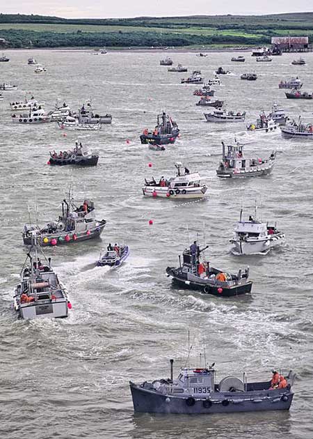 The Naknek line  Sockeye salmon fishery in Bristol Bay copyMark Emery used with permission