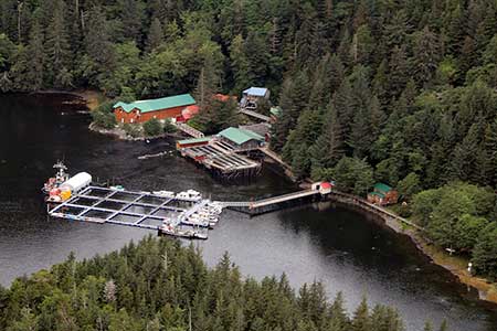 Approaching Port Armstrong by floatplane The tide is high and at low tide a rocky beach is exposed along the shoreline The boardwalk can be seen paralleling the shoreline The creek enters the cove just left of center below the big brown building  Photo by Phil Mooney