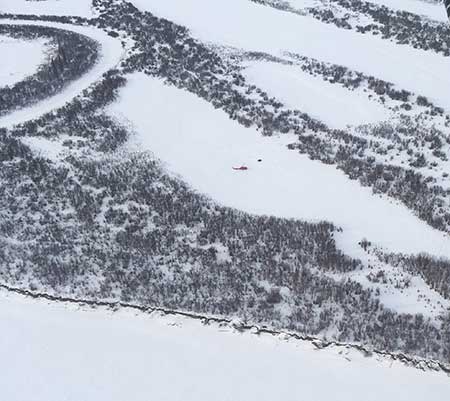 The helicopter lands in a sedge meadow where bison 132 was relocated and released If you look closely you can see another wood bison bull standing along the bank of the river