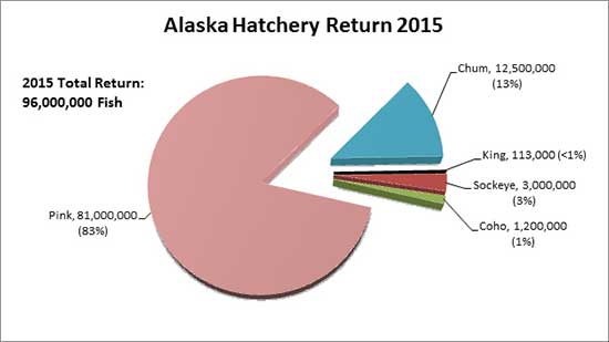 Species composition of 2015 Alaska hatchery returns with the number of fish returning by species and the percent of the total hatchery return of each species in parentheses The hatchery return includes harvest and brood stock