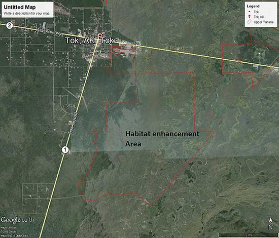 This Google Earth image shows the Alaska Highway running diagonally across the center of the picture and the Glenn Highway coming up from the south and intersecting at Tok  The light area east of Tok basically the entire right half of the image is the 1990 fire known as the Tok River fire That area in the upper right corner that looks like a compass rose is an old coast guard Loran station The big river is the Tanana