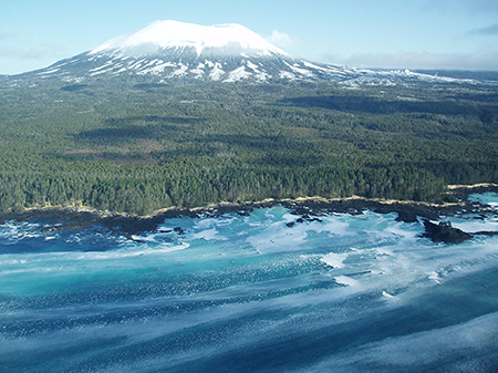 Spawning herring fill the waters off Kruzof Island and Mount Edgecumb near Sitka