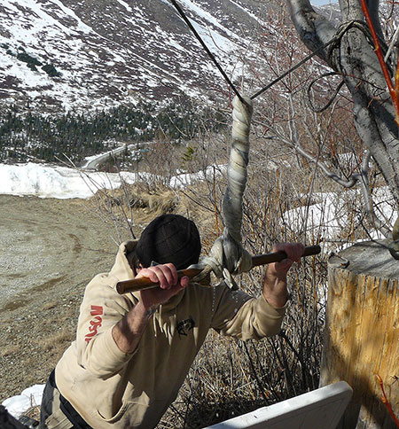 The author pulls down hard on a caribou skin he is wringing and twisting with a stick Here a rope was used as a crossbeam for wringing but for bigger hides such as moose its best to use a wooden pole