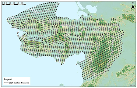 A map of the Seward Peninsula showing routes of the aerial transects
