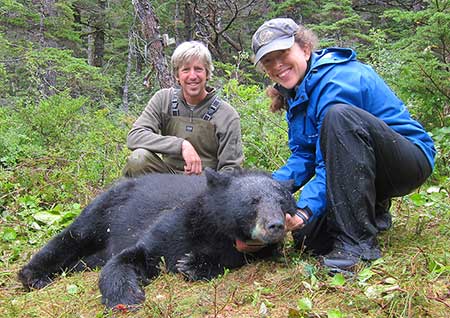 Biologists Charlotte Westing and Milo Burcham with a Prince William Sound bear Researchers weighed all 25 captured black bears The average size was 185 pounds for the females and 193 pounds for the males Milo Burcham photo