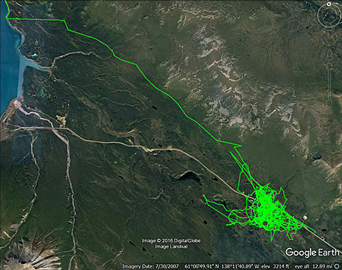 The travels of the quotKenny Lakequot lynx between January and March 2016 His home range is bisected by the Alaska Highway the yellow line running about 15 miles from the right corner to the edge of Kluane Lake on the left The GPS device in his collar tagged a point every 30 minutes He spent most of the winter in an area about three miles by one and a half miles the green scribbles then headed east the straight green line Courtesy Allyson Menzies